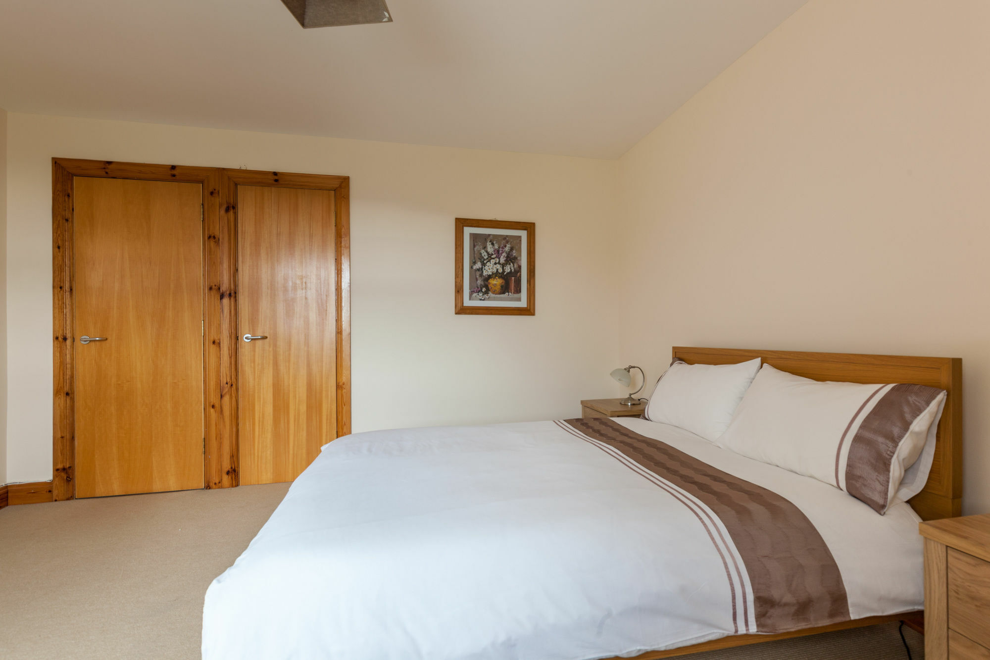 Belfast Homestay Apartment Zewnętrze zdjęcie